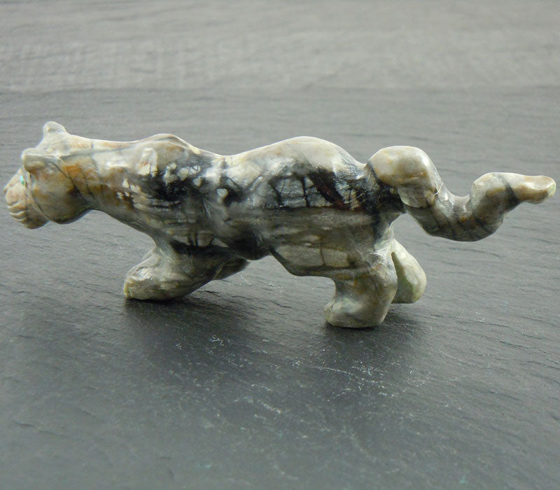 Zuni Mountain Lion Carving By Clive Hustito (FET518)